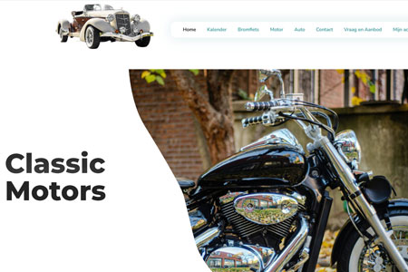 Jolly Gecko Web Solutions